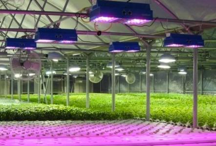 Led Greenhouses