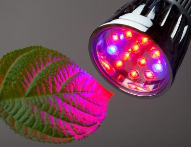 Led Greenhouses