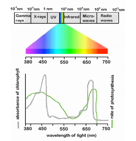 Led Greenhouses